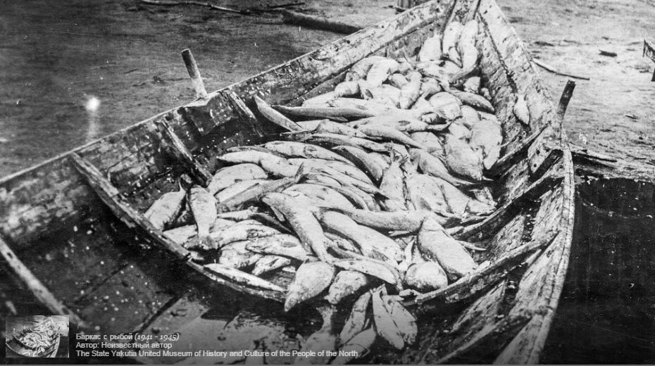 Переселение чурапчинцев: массовая гибель на северной земле в военные годы. Фото: Якутский государственный объединенный музей истории и культуры народов Севера им. Ем. Ярославского