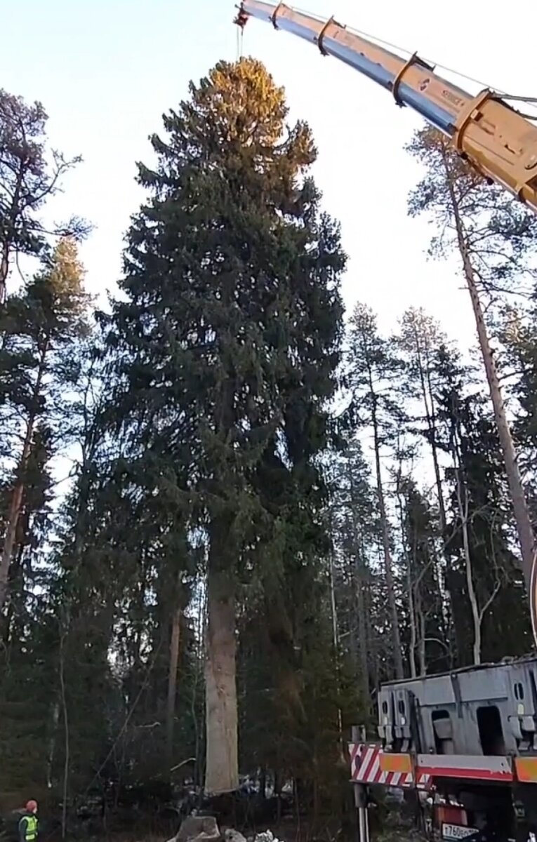    Фото: Фонтанка.Ру/ Михаил Огнев, скришот видео