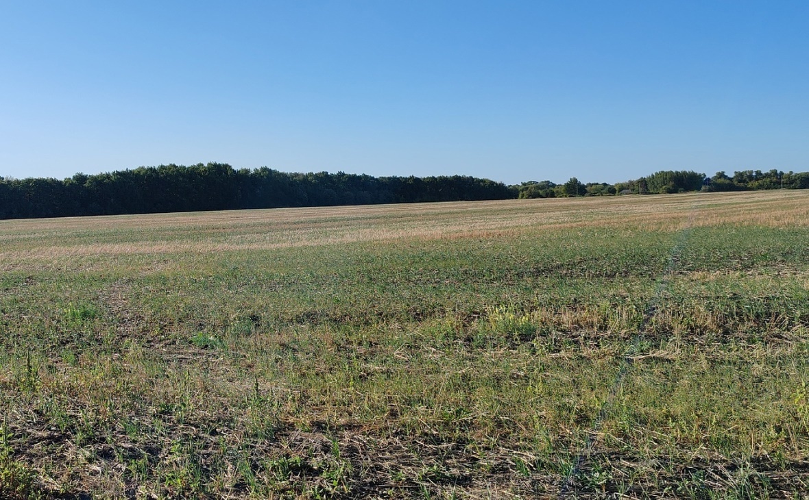 Фото: РБК Черноземье