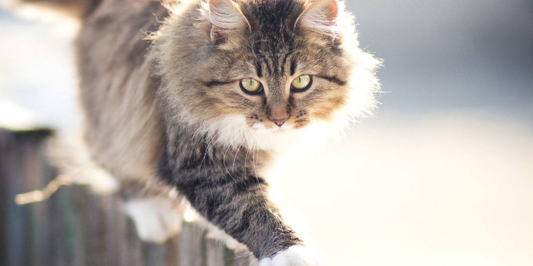 Дожить бы только до утра