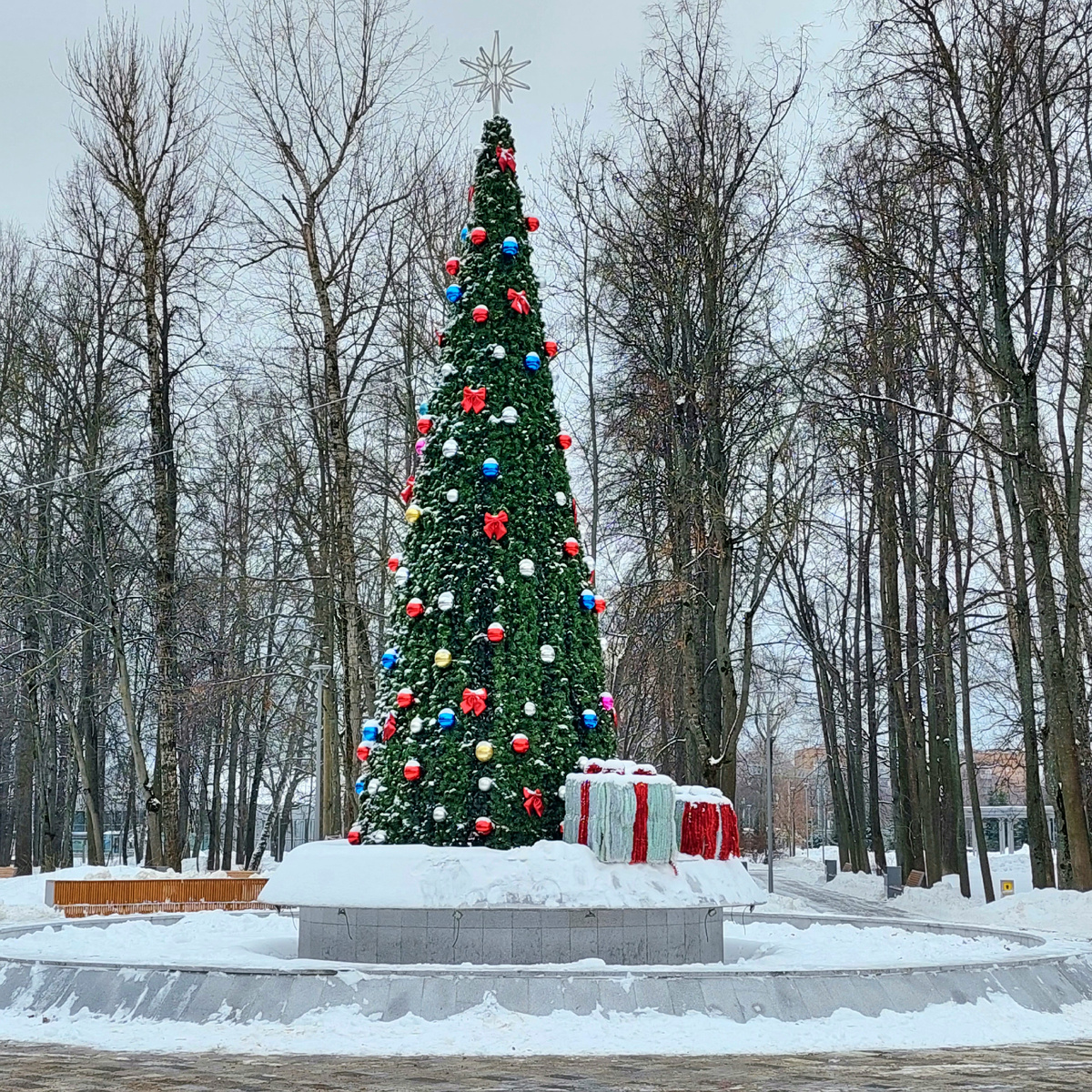 Фото автора.