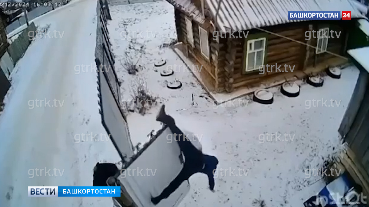    На шпагате и вниз головой: в Башкирии герой-любовник застрял на заборе