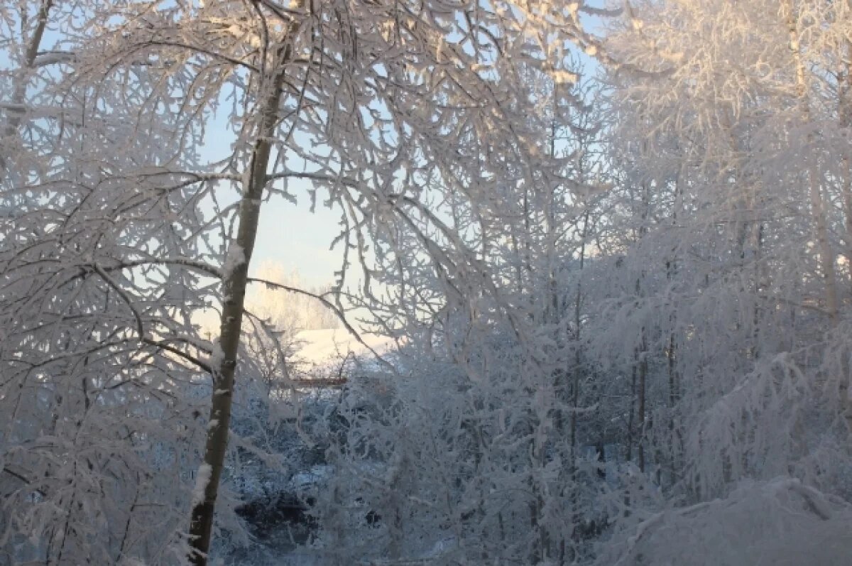    До -26 градусов похолодает на Среднем Урале