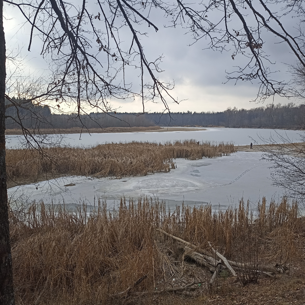 Вот таким видом меня встретила река.