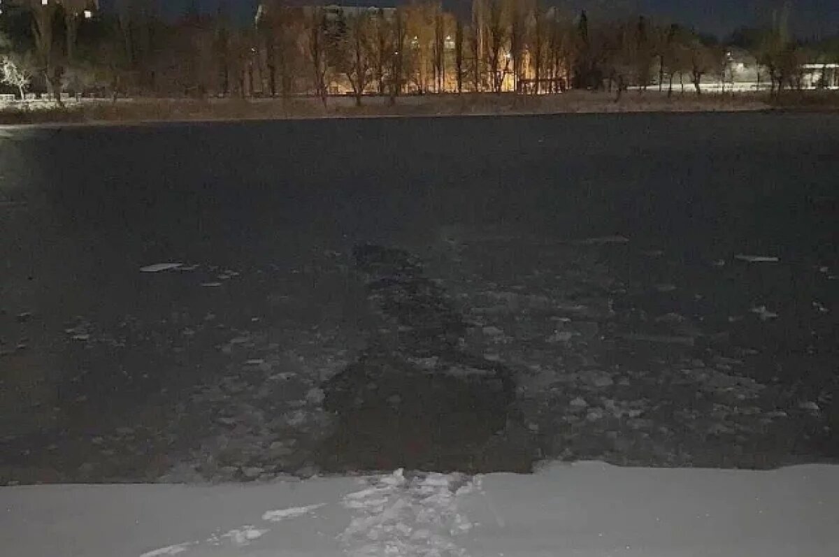    4 подростка ушли под неокрепший лед на озере в волгоградской Михайловке