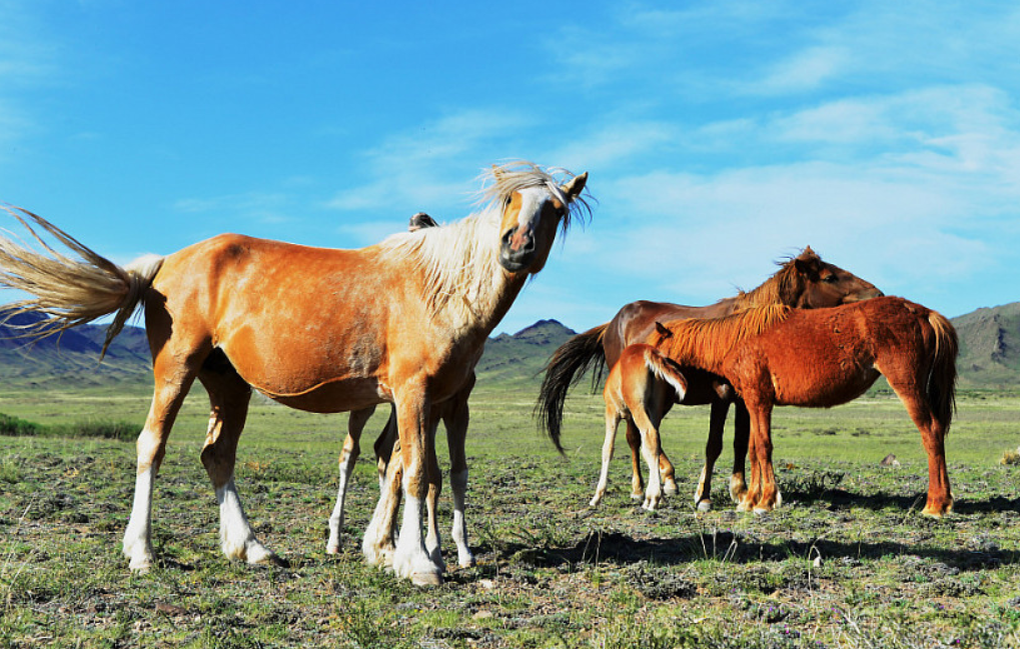 Фото: Номер один