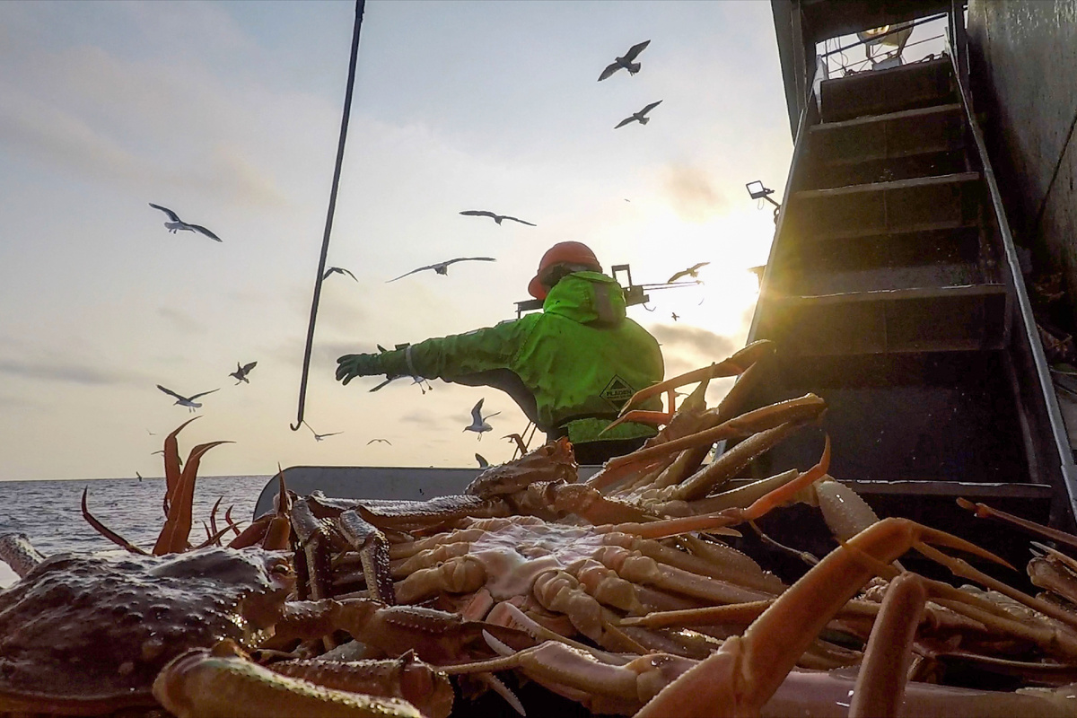 Фото: © Russian Crab/ XinHua/ Global Look Press