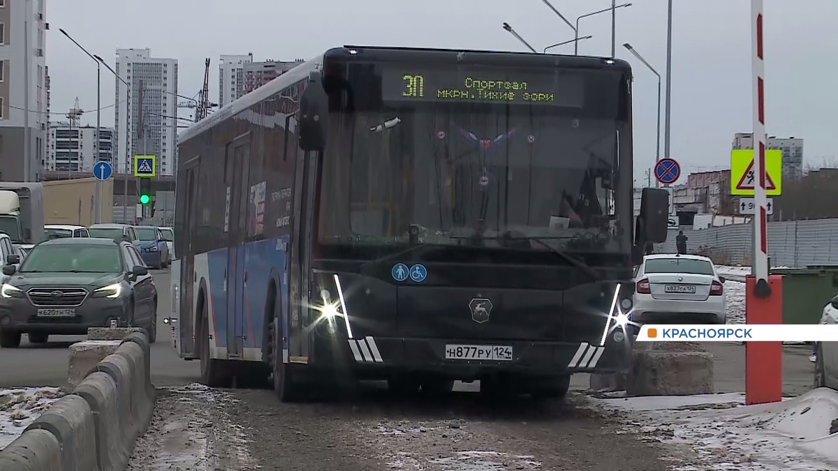     Водители автобусов оценили разворотную площадку в микрорайоне «Тихие зори»