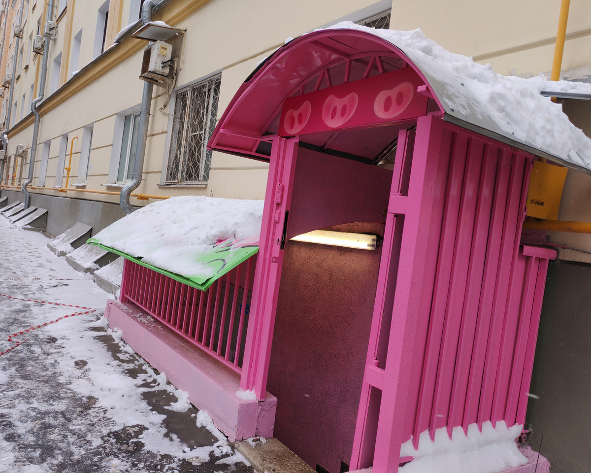 СВИНЬИ И ПРОКУРАТУРА 