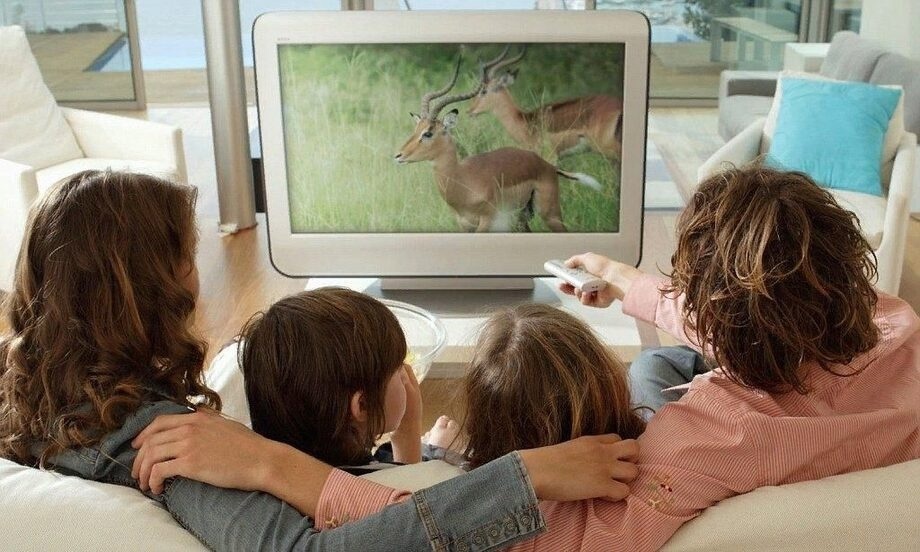 Совместный просмотр обучающих видео - отличная идея