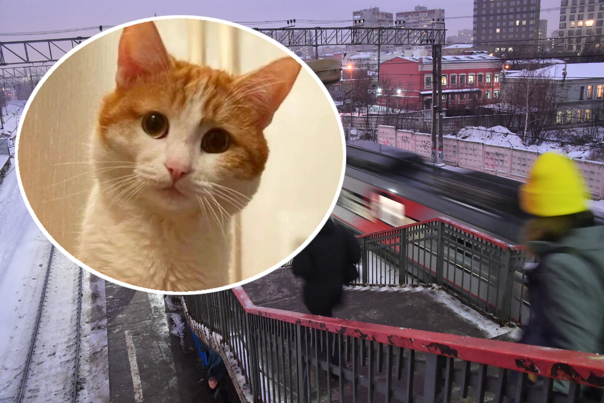 В октябре дело Твикса закрыли