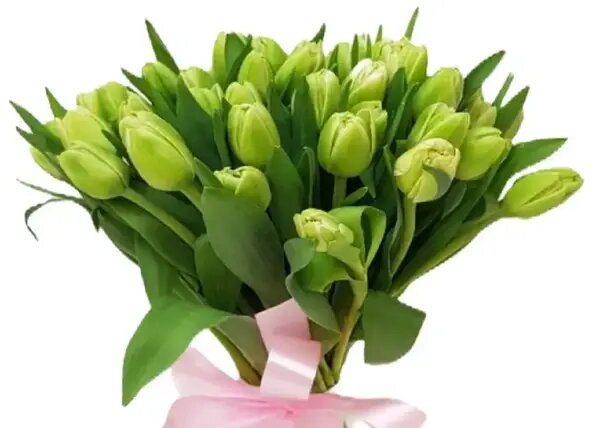   Зеленые тюльпаны в монобукете от AzaliaNow Мария Казённова