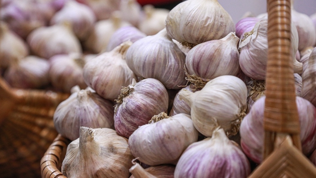    Фото: Bulkin Sergey/news.ru/Globallookpress