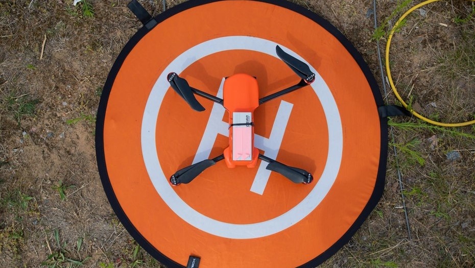    Автор фото: Ермохин Сергей