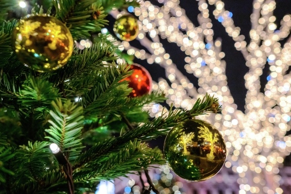 Фото: Алексей Даничев/РИА Новости
