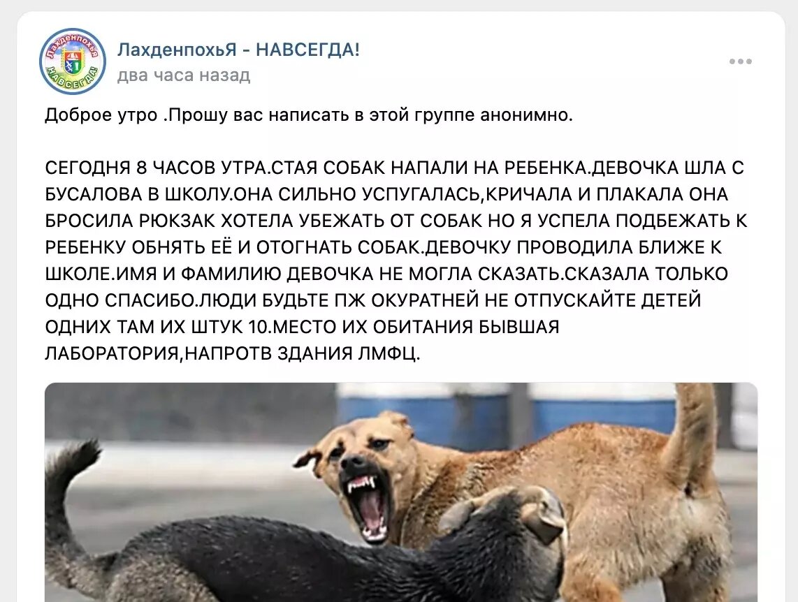     Источник: vk.com/wall-15464921_349388