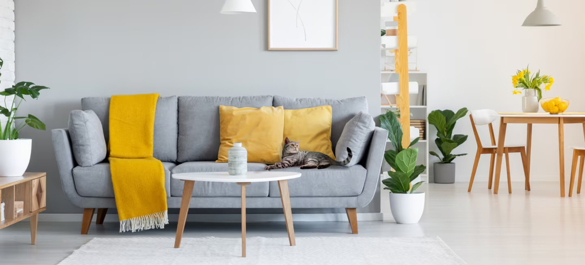 Камеры Ростелекома фиксируют движение в кадре или посторонние звуки и оповещают о событии. Хороший способ всегда знать, что происходит дома