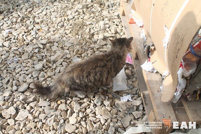    Адвокат считает, что дело нужно переквалифицировать и расследовать снова