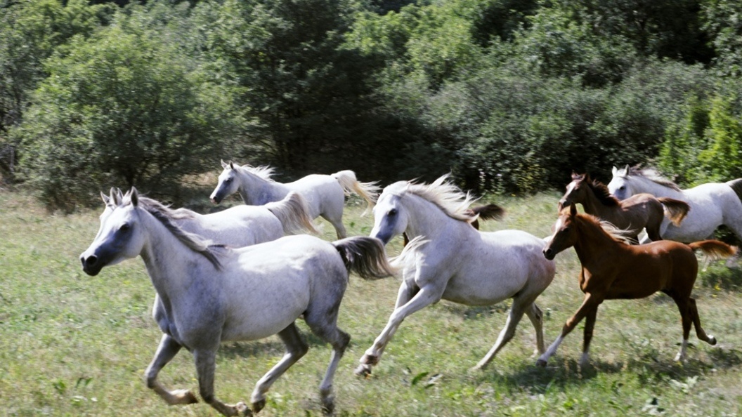    Фото: Alexei Shtorkh/Russian Look/Globallookpress