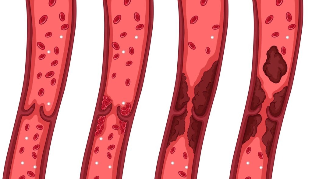    Фото freepik.com