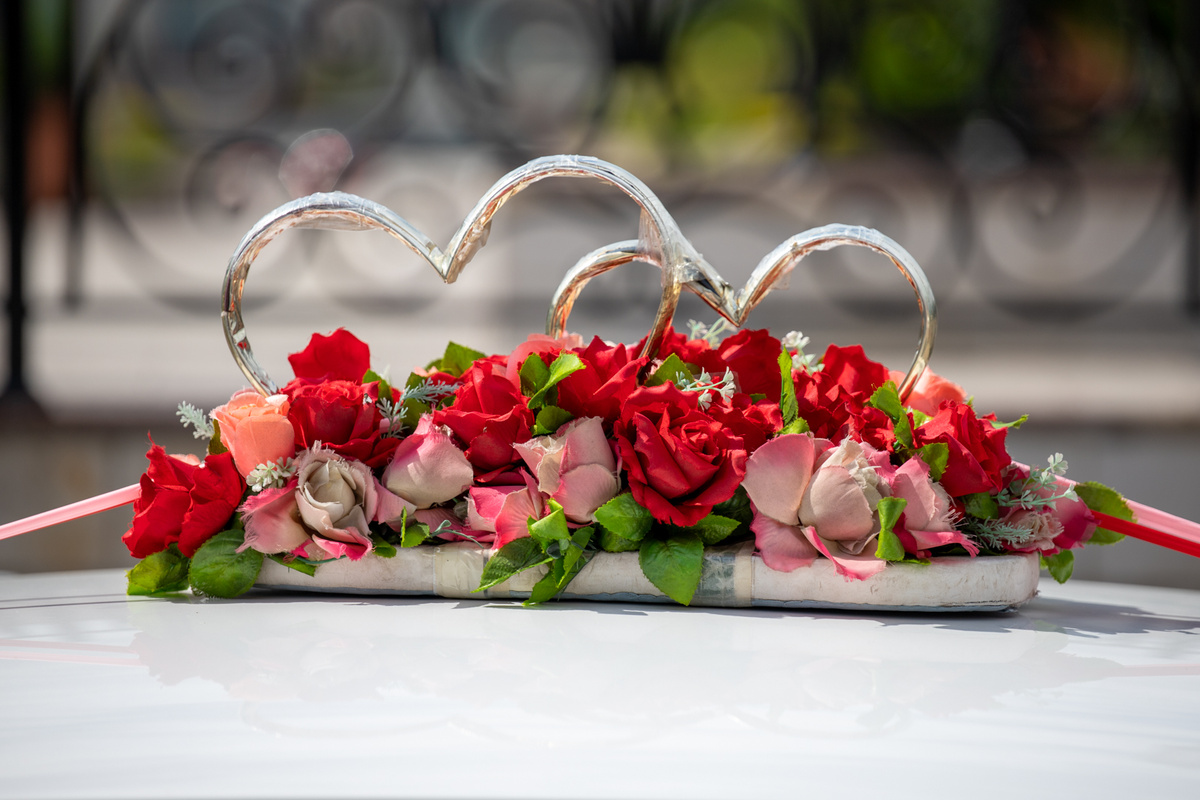 Фото: Тульская служба новостей