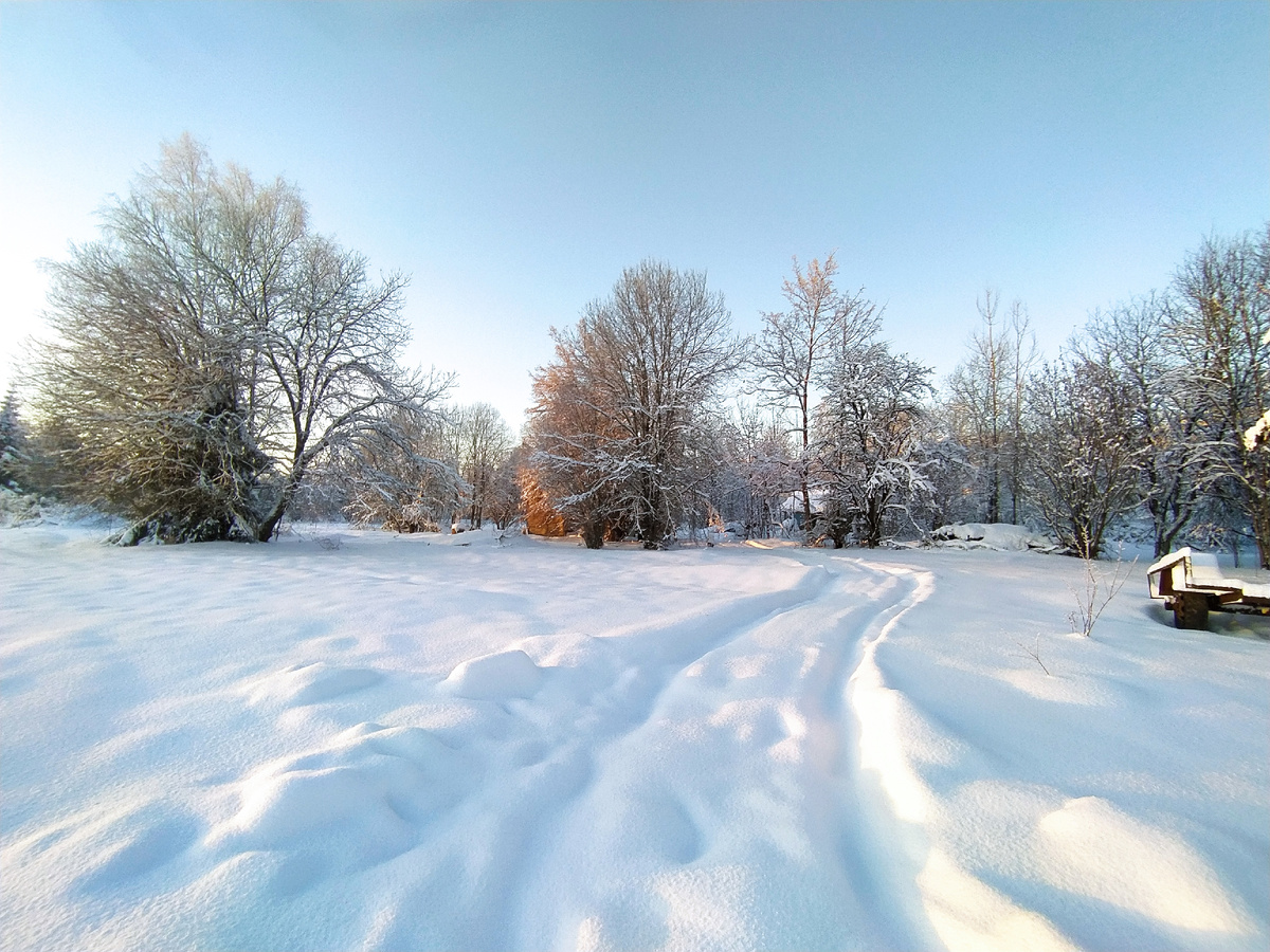 Тот самый день