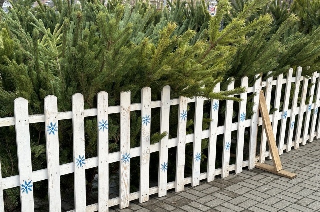    Фото:  АиФ/ Мария Зуборева