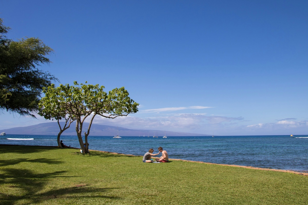 Фото с бесплатного фотостока https://unsplash.com, автор Olusola O