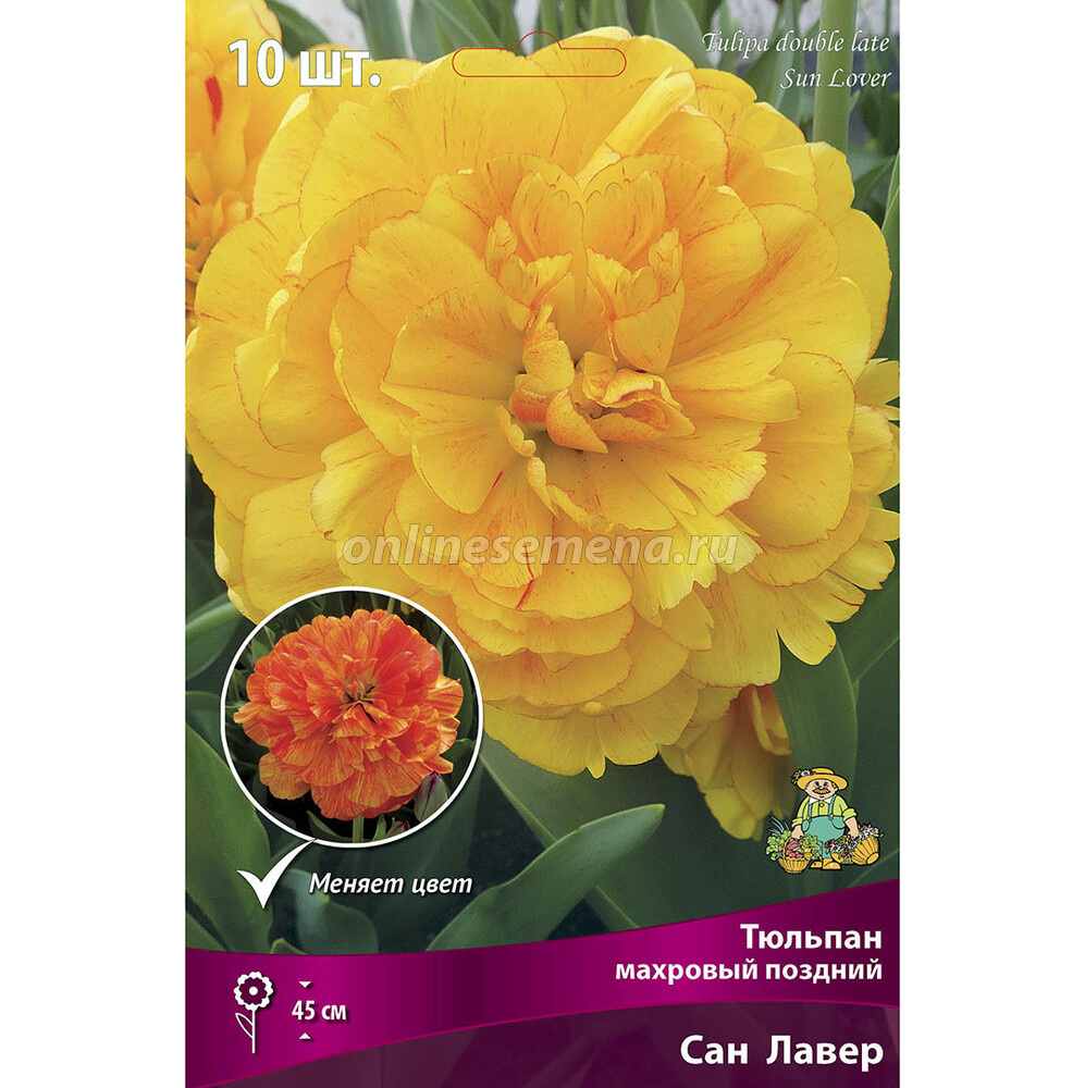 Сомнительное утверждение