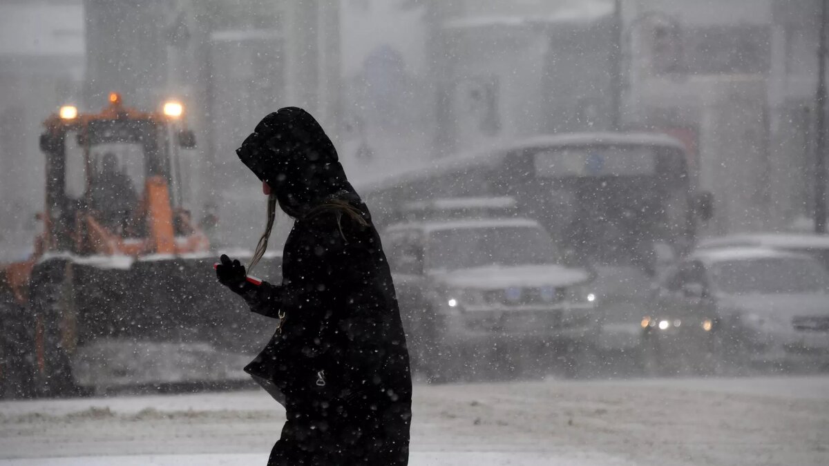 Фото: РИА Новости / Виталий Аньков