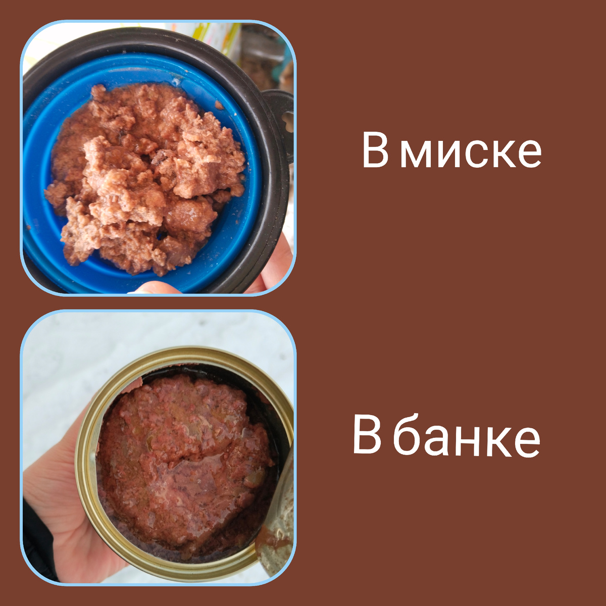 Корм от Rush pet food внутри 