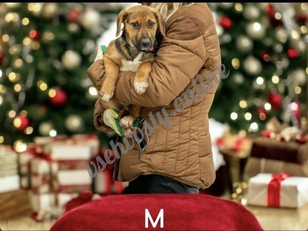 -1-2