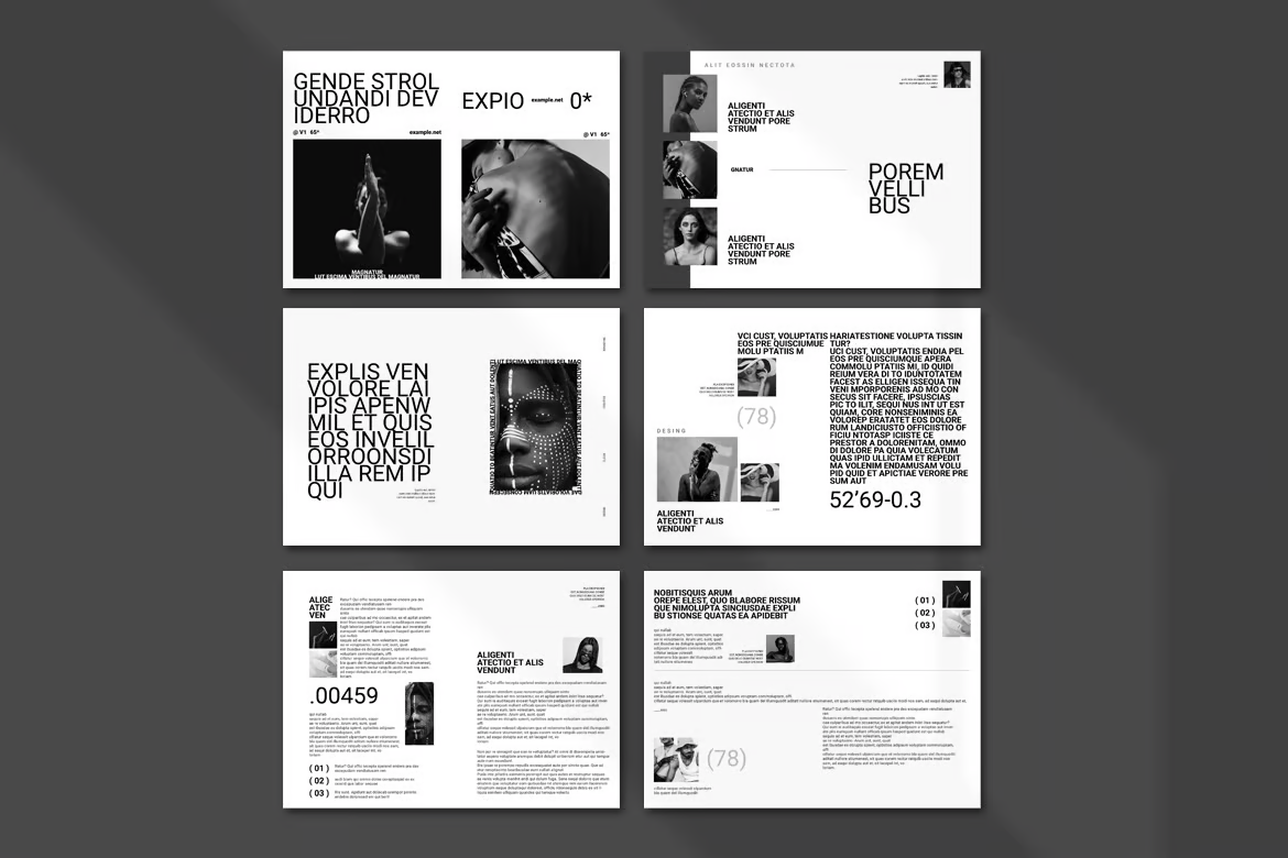 Современный Шаблон InDesigne для Бизнес-Идей