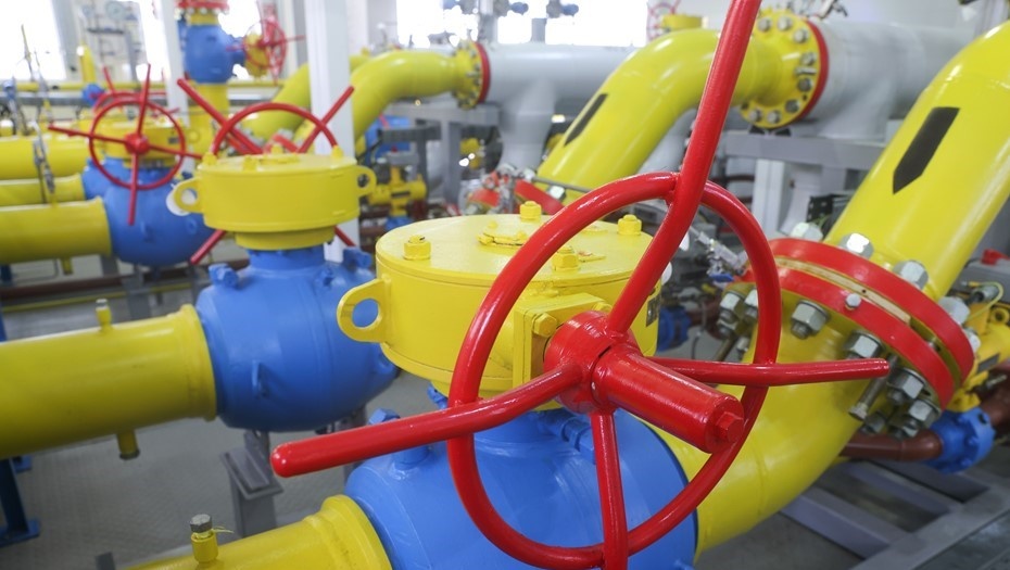    Автор фото: Иван Губский/ТАСС