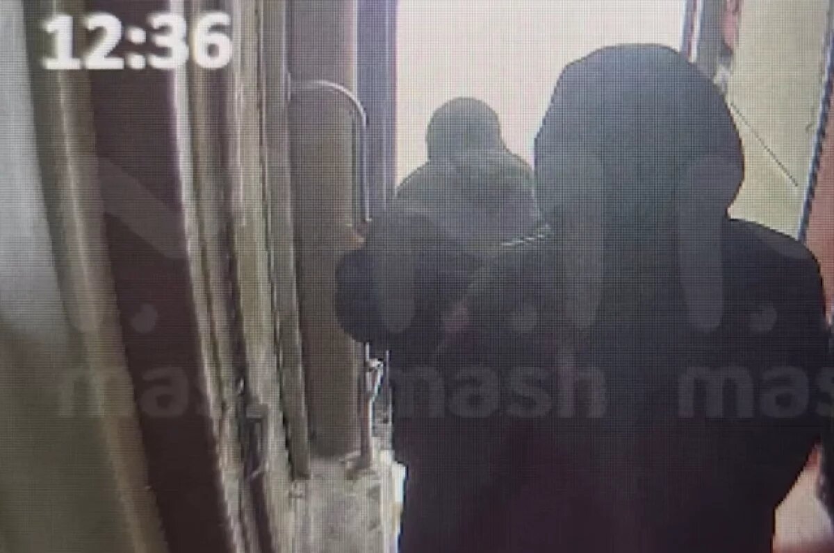    Следователи: кота Твикса из поезда выбросил пассажир, а не проводница