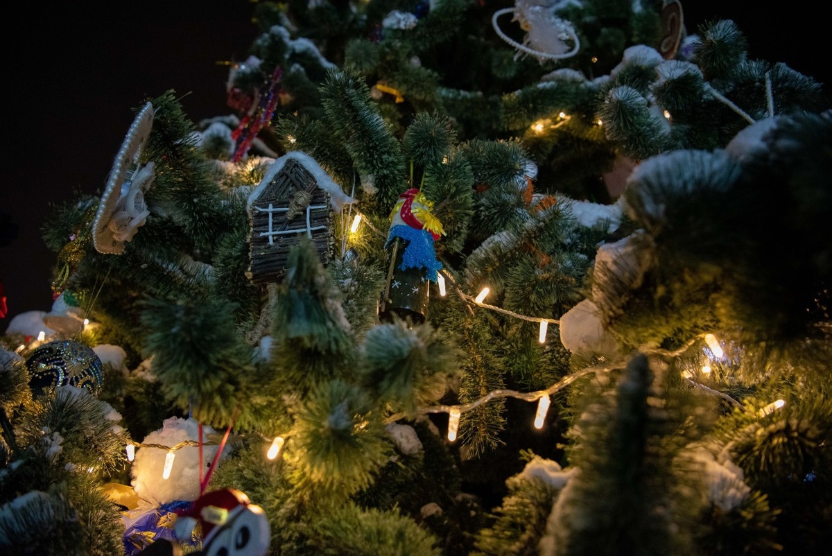    "Новогодняя сказка". Фото: "Республика"/ Лилия Кончакова