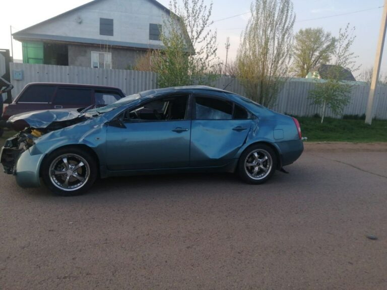    Вынесен приговор водителю, который насмерть сбил подростка на лошади в селе Краснохолм Кристина Просвиркина