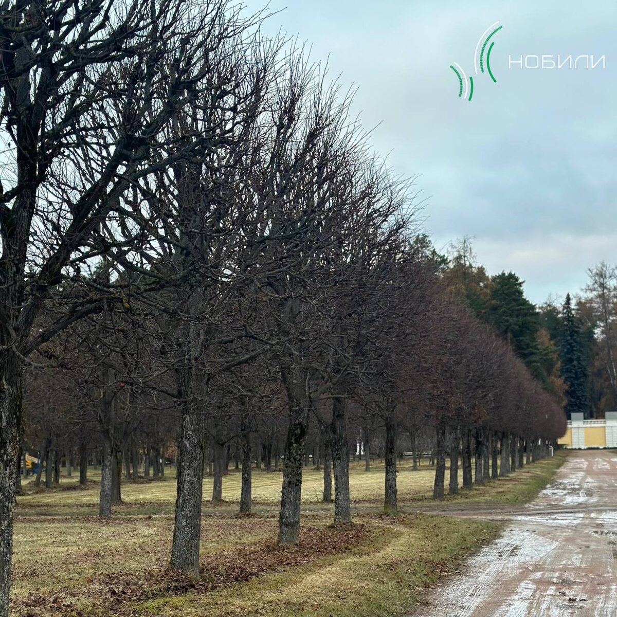 Фото из архива компании "Нобили"