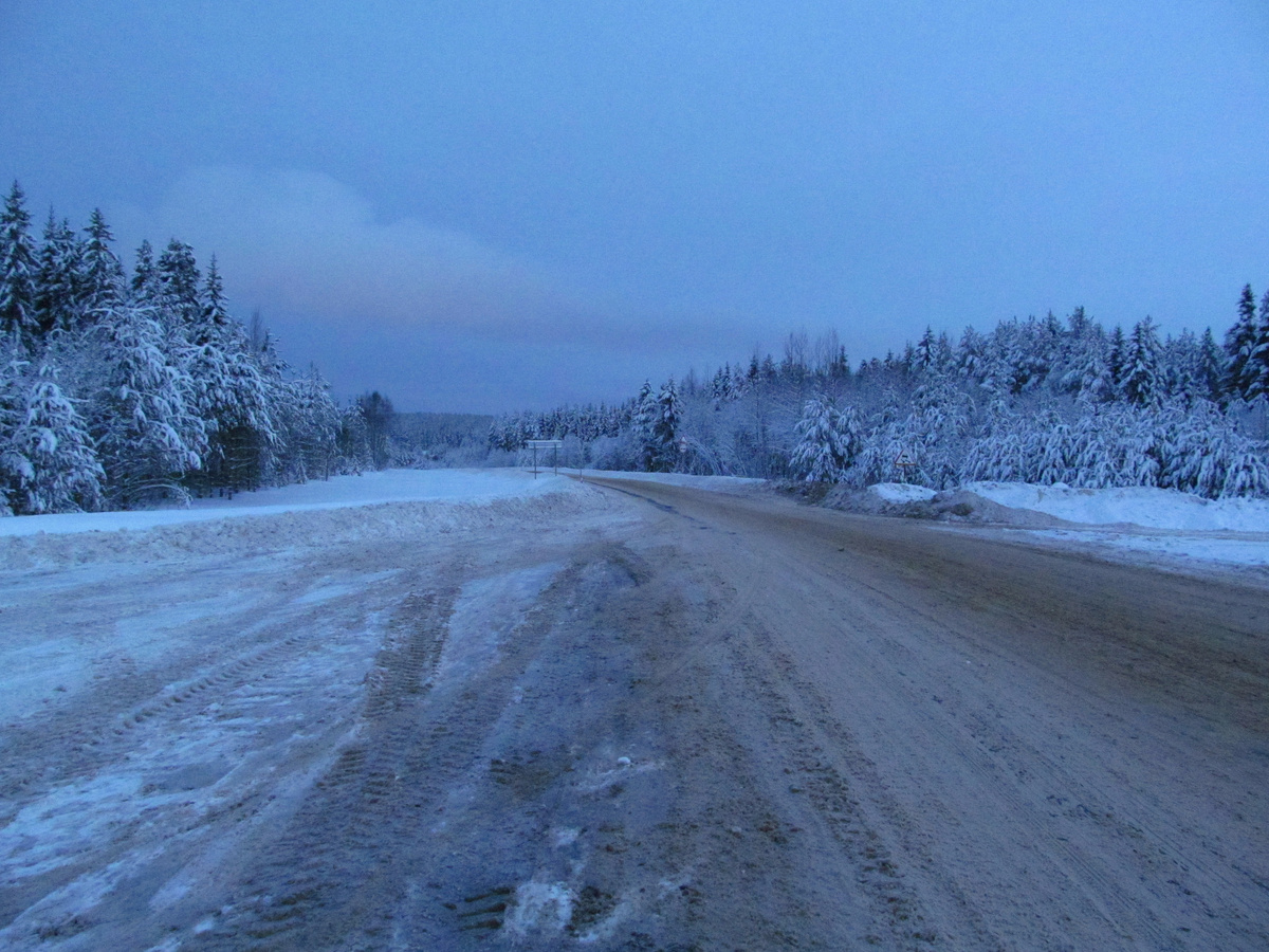фото авторское