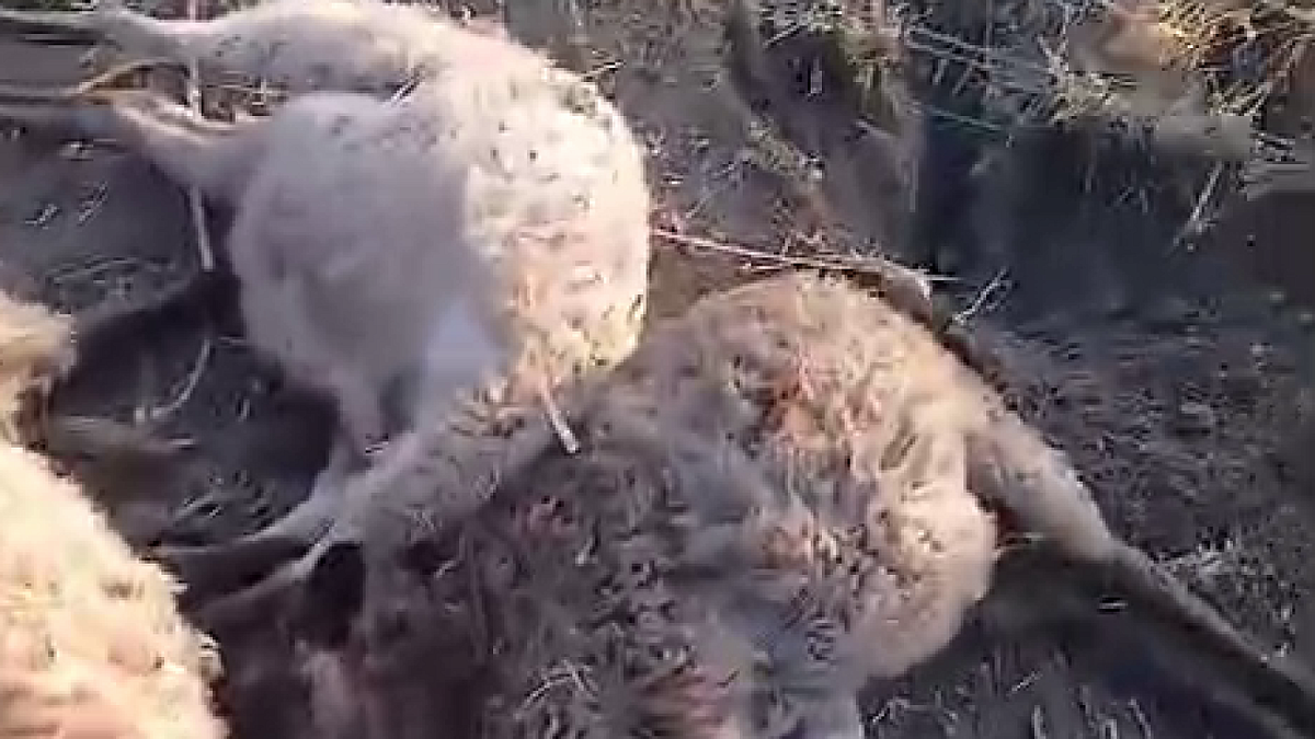    Фото: пресс-служба администрации Ленинградского округа