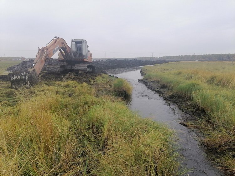    Якутский фермер получит федеральную субсидию на мелиорацию земель и начнет выращивать кормовые травы