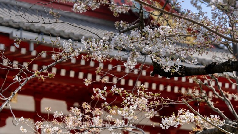 Источник: unsplash