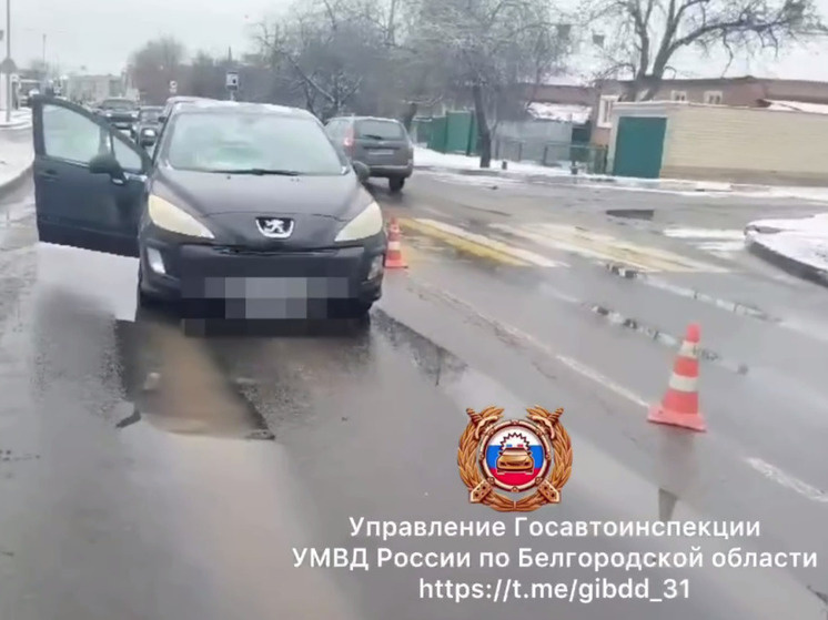     В Белгороде «ПЕЖО» сбил 19-летнюю девушку, фото: скриншот видео со страницы t.me/gibdd_31