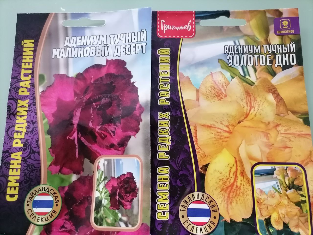 Семена адениума Обесум, страна производитель - Тайланд, фото автора