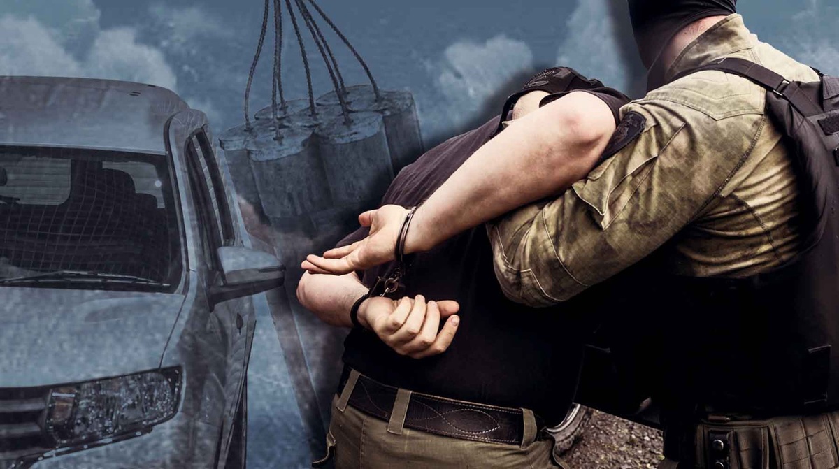    Коллаж: Daily Storm