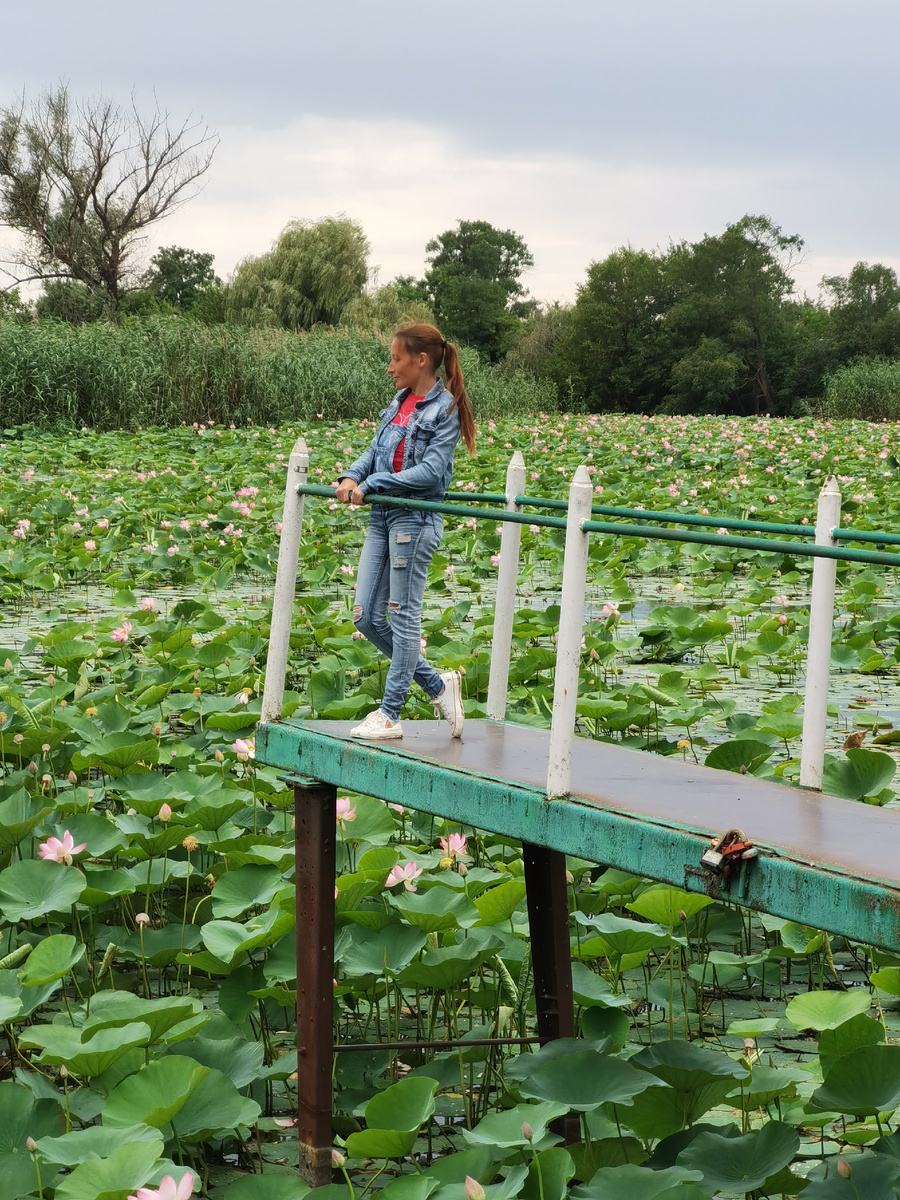 Озеро 2023 год, 11 июля
