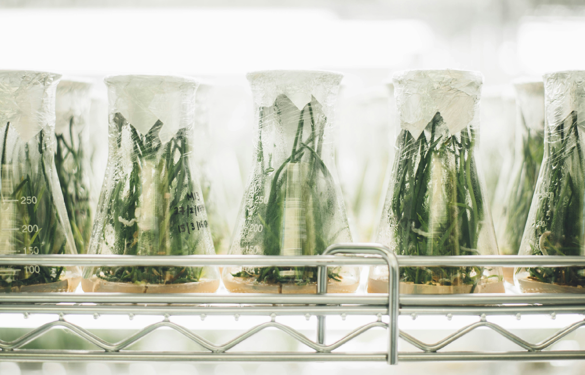 Photo by CHUTTERSNAP on Unsplash