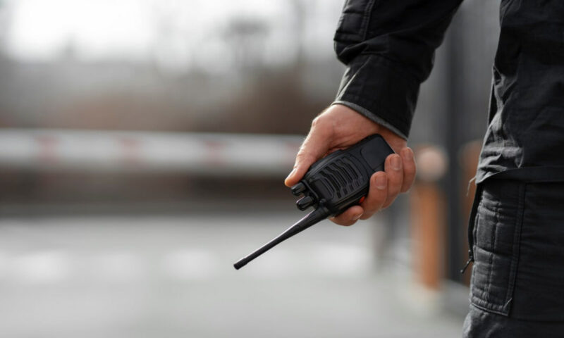    Фото freepik.com