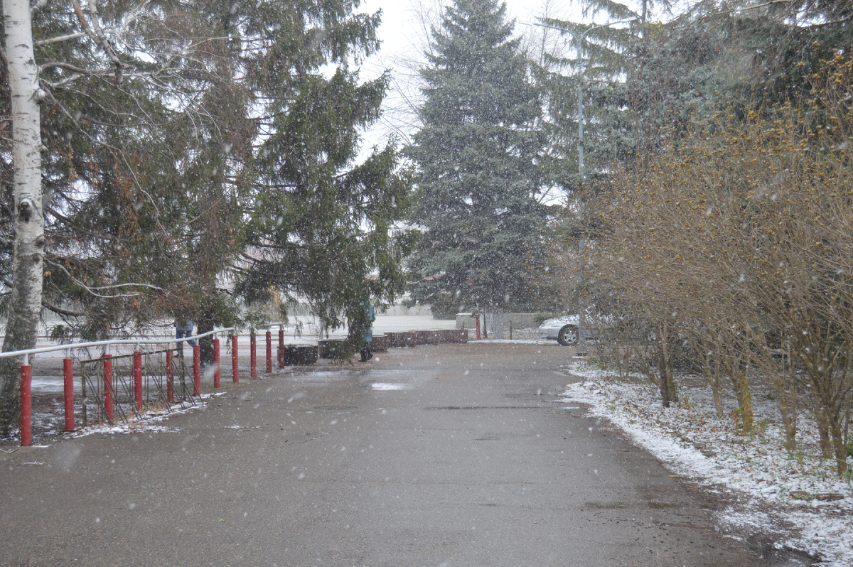 Фото автора. 13.12.2024. Станица. Пятница тринадцатое.