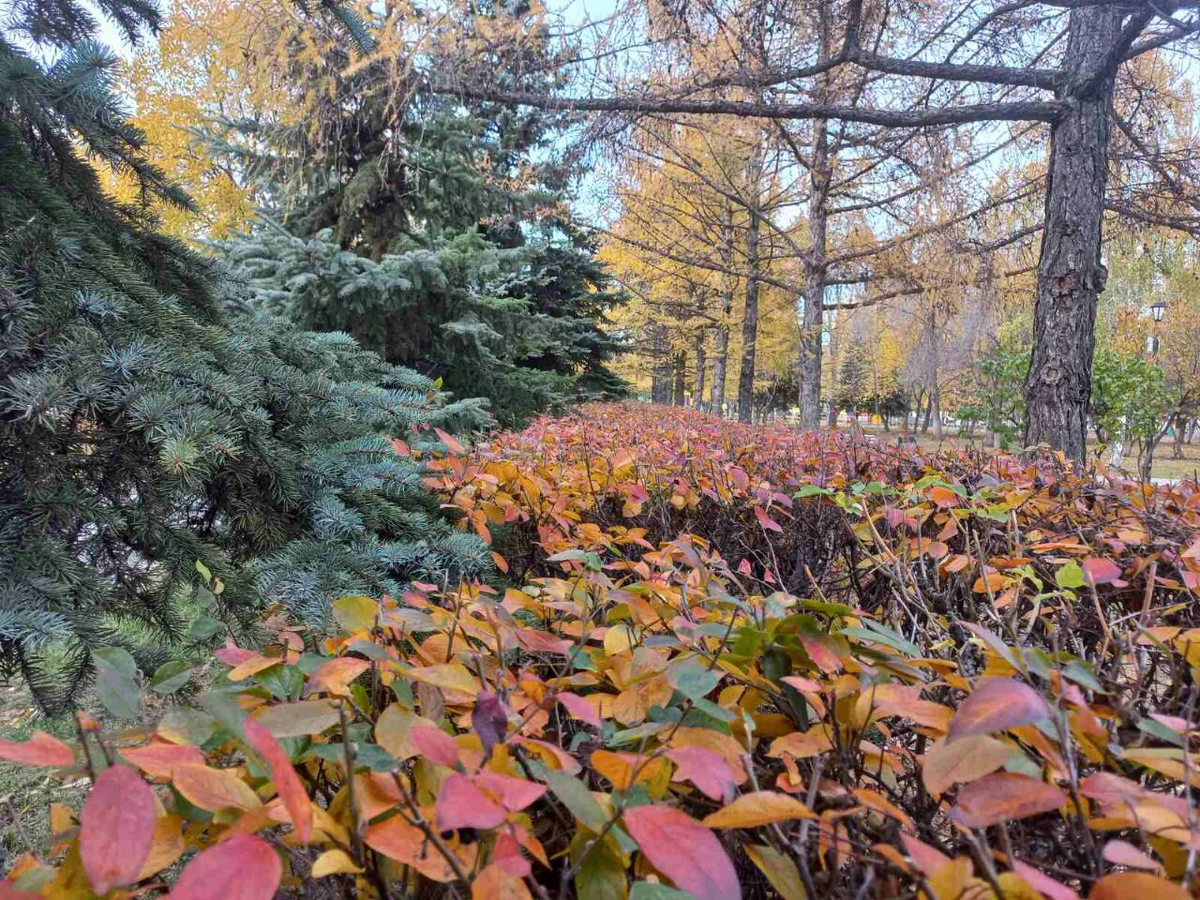 Фото автора.